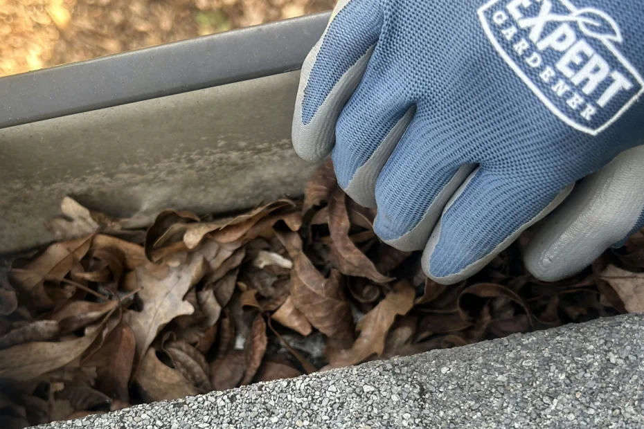 Asharoken Gutter Cleaning